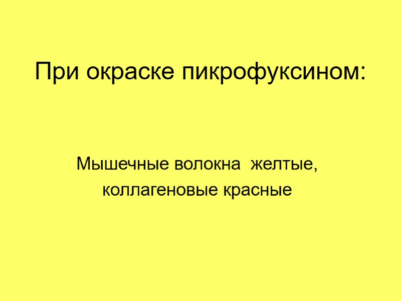 При окраске пикрофуксином: Мышечные волокна  желтые,  коллагеновые красные